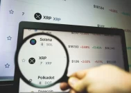 加密货币洞察：XRP鲸鱼在价格调整中表现出信心